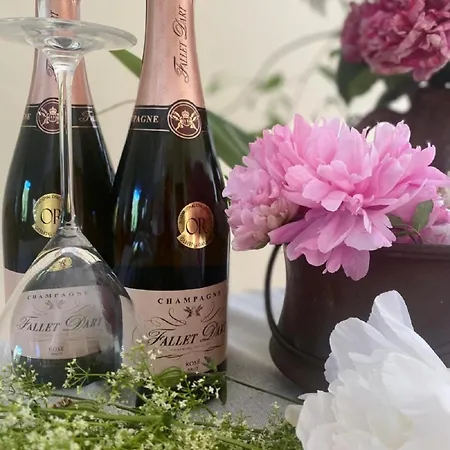 Aux Portes Du Champagne 펜션 *