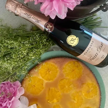 Aux Portes Du Champagne 펜션 Pavant